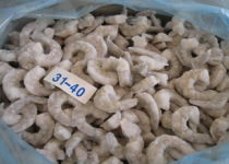 冷凍冰鮮品招商 攜手共贏，開啟海鮮財富新篇章