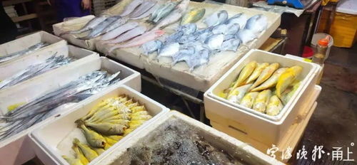 海鮮組合裝價格跳水，消費者餐桌迎來“鮮”機