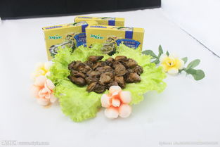 海鮮產品圖片專題 鮮香誘人，一鍵下載海鮮組合裝視覺盛宴