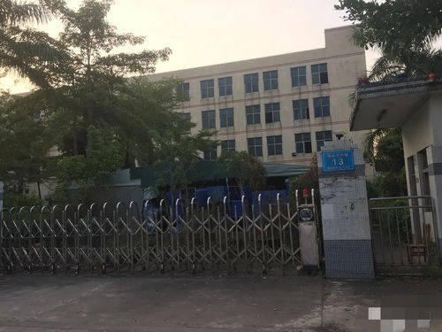 人去樓空后的堅守 東莞某工廠倒閉后的安保防衛(wèi)用品與兩位保安的故事